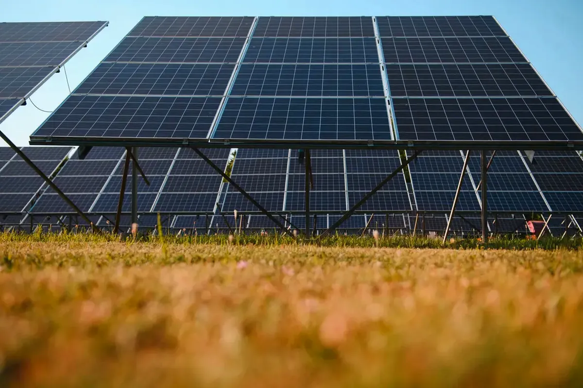 Cuánto ahorras en la factura con placas solares en Guadalajara: un ejemplo con números